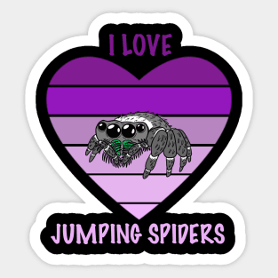 I Love Jumping Spiders Sticker